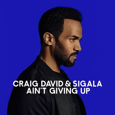 Craig DavidJames Hype Aint Giving Up (WiDE AWAKE Remix)