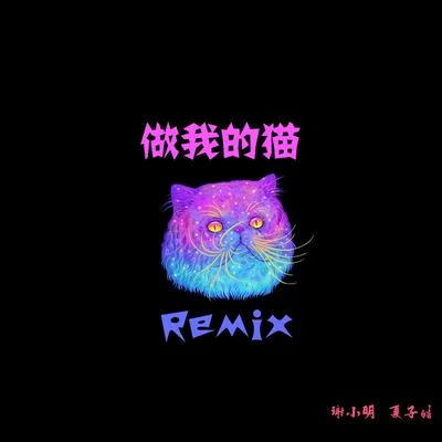 做我的貓（Remix） 專輯 夏子皓/吳海嘯