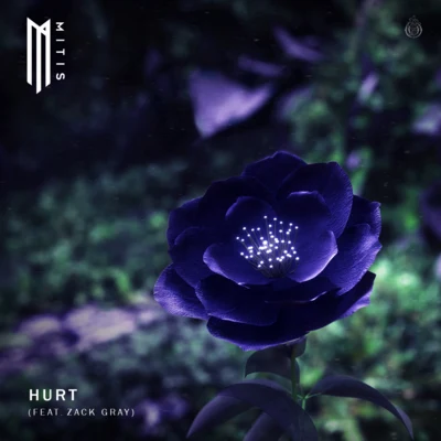 Hurt (feat. Zack Gray) 專輯 Zack Gray