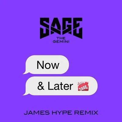 Now and Later (James Hype Remix) 專輯 Sage the Gemini