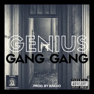 Gang Gang 專輯 Genius