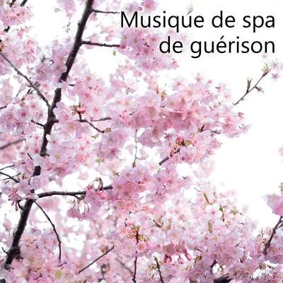 Musique de spa de guérison - Sons pour la relaxation, Le bien-être, Le massage parfait, L&#x27;eau reposante, Le calme, Le sommeil profond, La beauté 专辑 Académie de bien-être