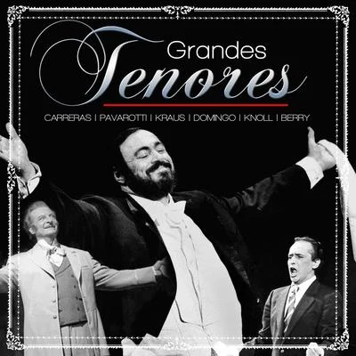 Grandes Tenores 專輯 Orquesta Sinfónica Clásica de Baviera