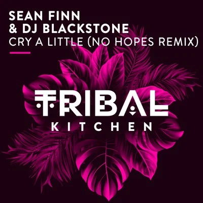 Cry a Little (No Hopes Remix) 專輯 DJ Blackstone