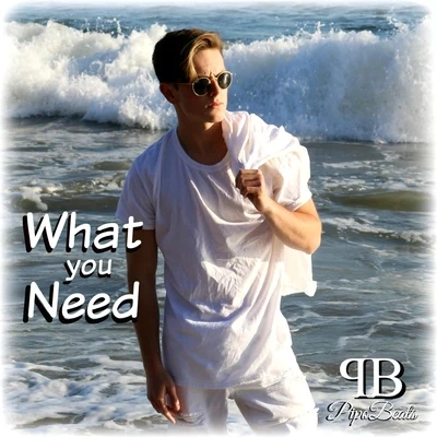 What You Need 專輯 Tài Muzik/Pipo/LongB