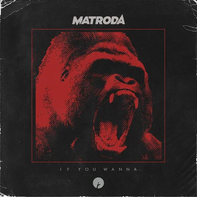 Matroda If You Wanna