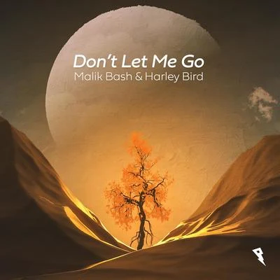 Don&#x27;t Let Me Go 专辑 Futuristik/Harley Bird/Rival/Whogaux/Cadmium