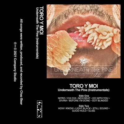 Underneath the Pine (Instrumentals) 專輯 Toro y Moi