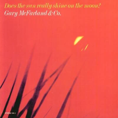 Does The Sun Really Shine On The Moon 專輯 Gary McFarland