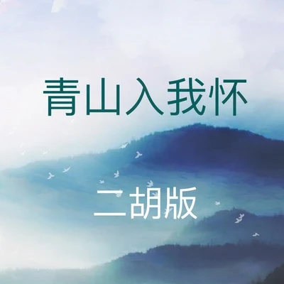 青山入我怀（二胡版） 专辑 辰小弦