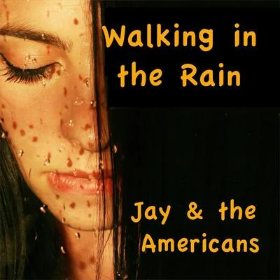 Walkin&#x27;in the Rain 专辑 Jay/Harris/Ross/Link Wray/Dixon