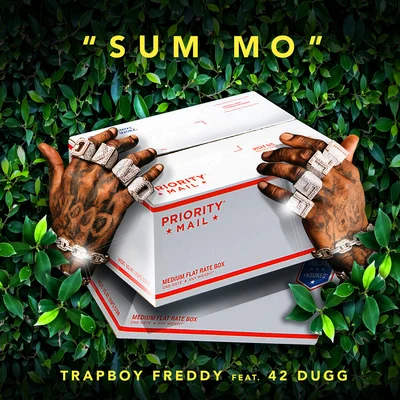 Trapboy Freddy Sum Mo (feat. 42 Dugg)