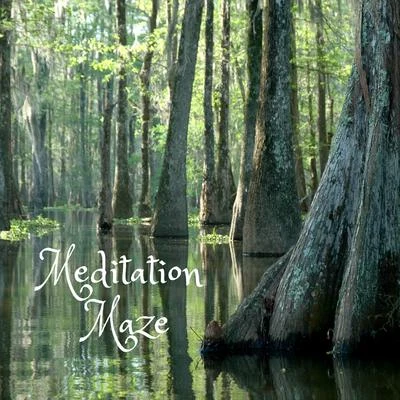 Meditation Maze 专辑 Rain Recorders/nature & Sounds Background/Tailormade Ocean Waves