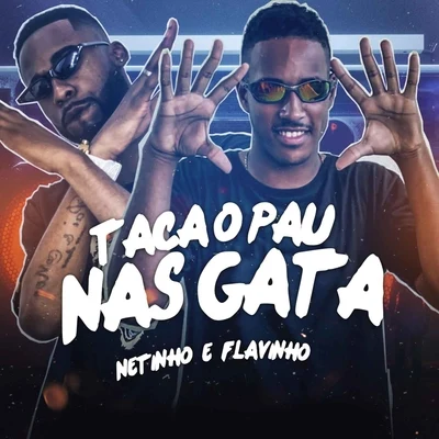 Taca o Pau nas Gata (Brega Funk) 专辑 DJ Léo Alves/Mc Flavinho/Mc Topre