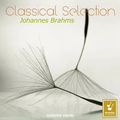 Classical Selection - Brahms: Symphony No. 2 & Clarinet Sonata No. 2 專輯 Libor Pešek/Kamil Hala/Slovak Philharmonic Orchestra