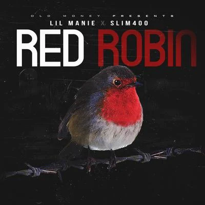 Slim 40050 SosaOmega Crosby Red Robin