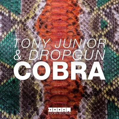 Cobra (Olly James Bootleg) 專輯 Olly James