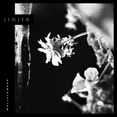 Wallflowers 专辑 Jinjer