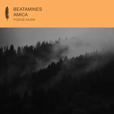 Amica 专辑 Beatamines/Stephan Zovsky/Dan Cero