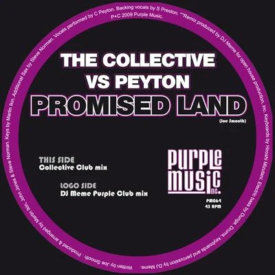 Promised Land 专辑 The Collective/Alfred Azzetto/Hi Fi Mike/Yass/Djaimin