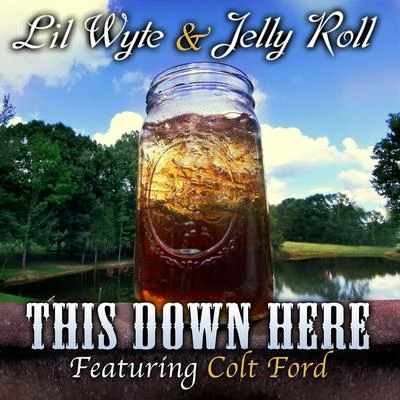 Lil Wyte This Down Here (feat. Colt Ford) - Single