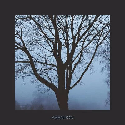 Abandon 专辑 Direct