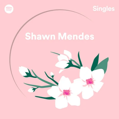 Spotify Singles 專輯 Shawn Mendes