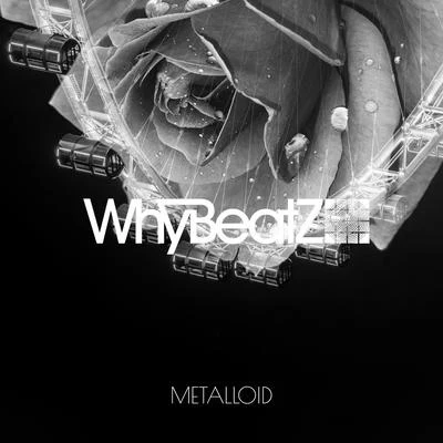 WhyBeatZ格莱美汇Taisheng Music METALLOID