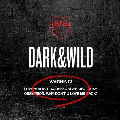 BTSColdplay DARK&WILD