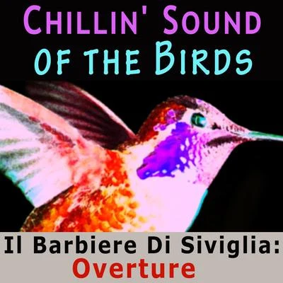 Chillin Sound of Birds 專輯 Tbilisi Symphony Orchestra