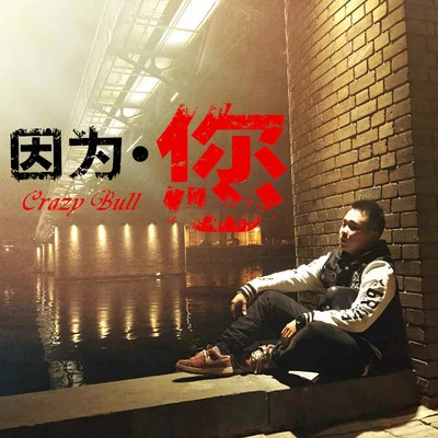 因为您 专辑 狂牛CrazyBull/枇杷pipa