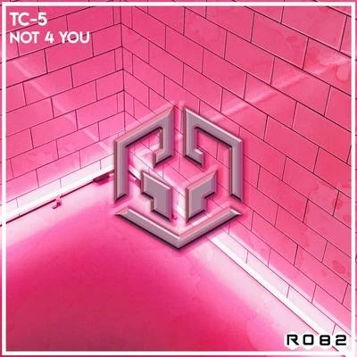 Not 4 You 专辑 Tc-5