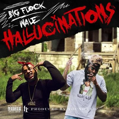 Hallucinations (feat. Wale) 專輯 Wale