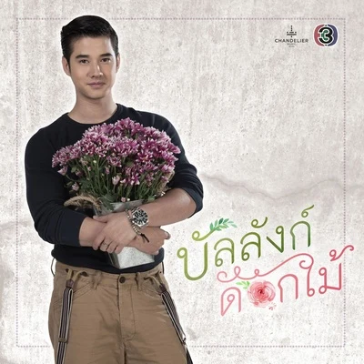 อยุธยา Cute BoysMario Maurer ขอบคุณ (Acoustic Version) [เพลงประกอบละคร บัลลังก์ดอกไม้]