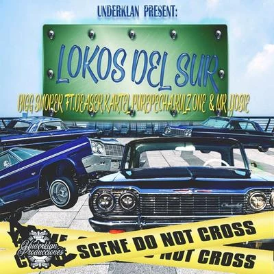 Mr. MartinezMr. Yosie LocotePelygroRulz OneEl Pinche MaraLa Baby SmileySparky DogEl TiranoJoker Life Lokos del Sur (feat. Mr Yosie, Kartel Purepecha, Rulz One & Daser)