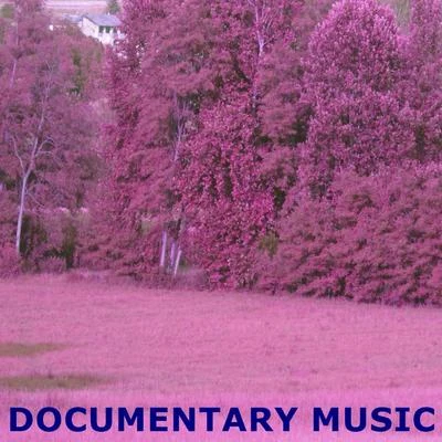 Documentary Music 专辑 Robert Williams