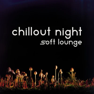 歌手 Chillout Night