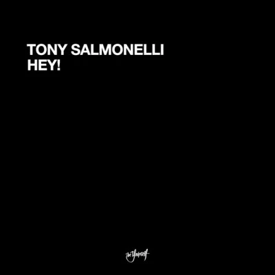 歌手 Tony Salmonelli