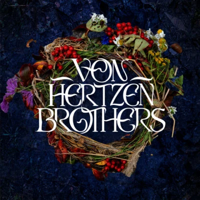 Von Hertzen Brothers 歌手