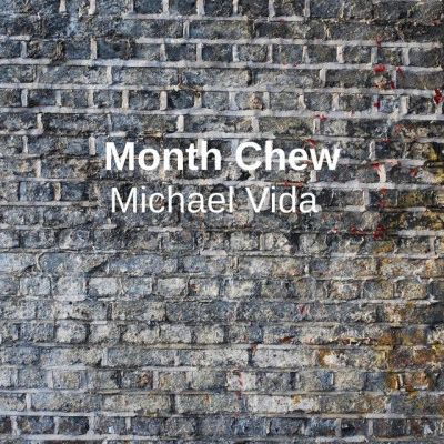 Michael Vida 歌手