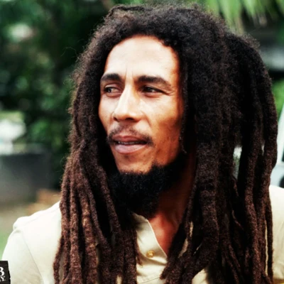 歌手 Bob MarleyTomas HedbergRichard GreyTuccillo