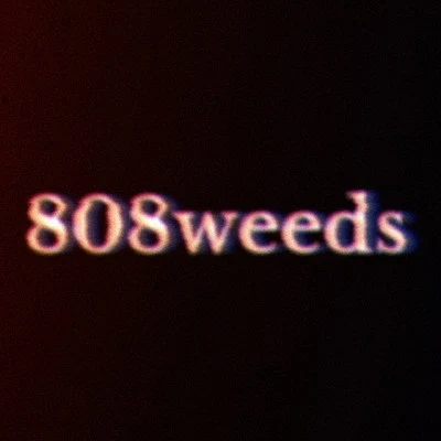 808weeds 歌手