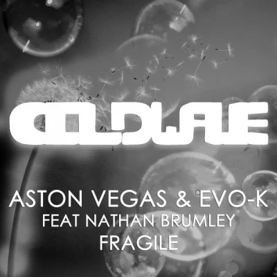 Evo-K/Aston Vegas/Nathan Brumley futuristic house, Vol. 10