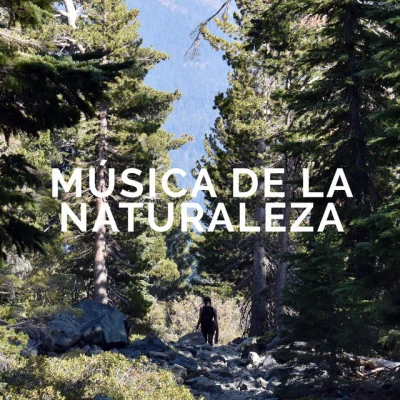 Música de la Naturaleza 歌手