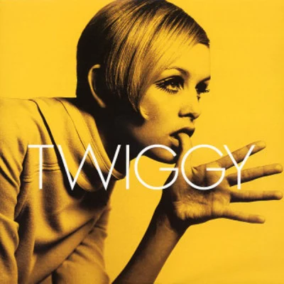 歌手 TWIGGY