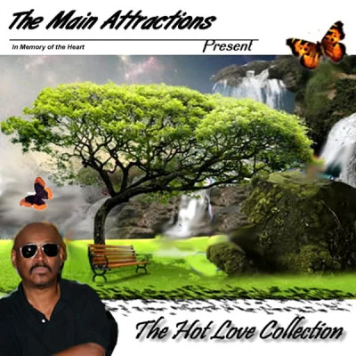 歌手 The Main Attractions