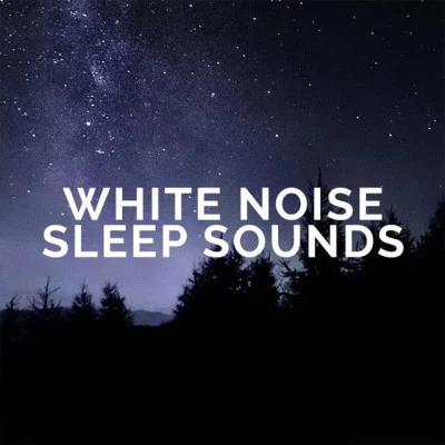 White Noise Sleep Sounds 歌手