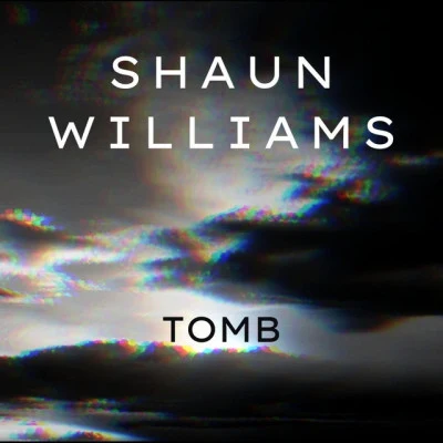 Shaun Williams 歌手