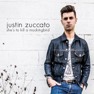 歌手 Justin ZuccatoTWINNS