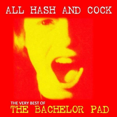 The Bachelor Pad 歌手